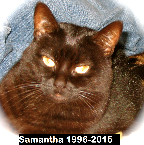 Samantha 1996-2015
